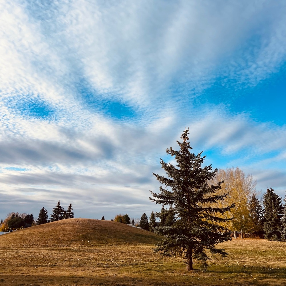 Meet your Posher, Cortney